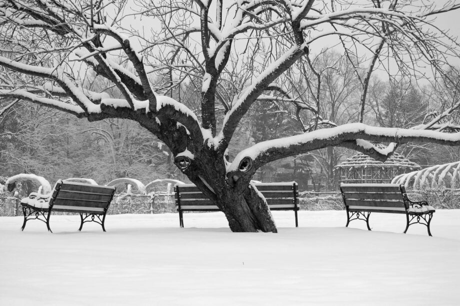 Winter Safety Tips For Seniors