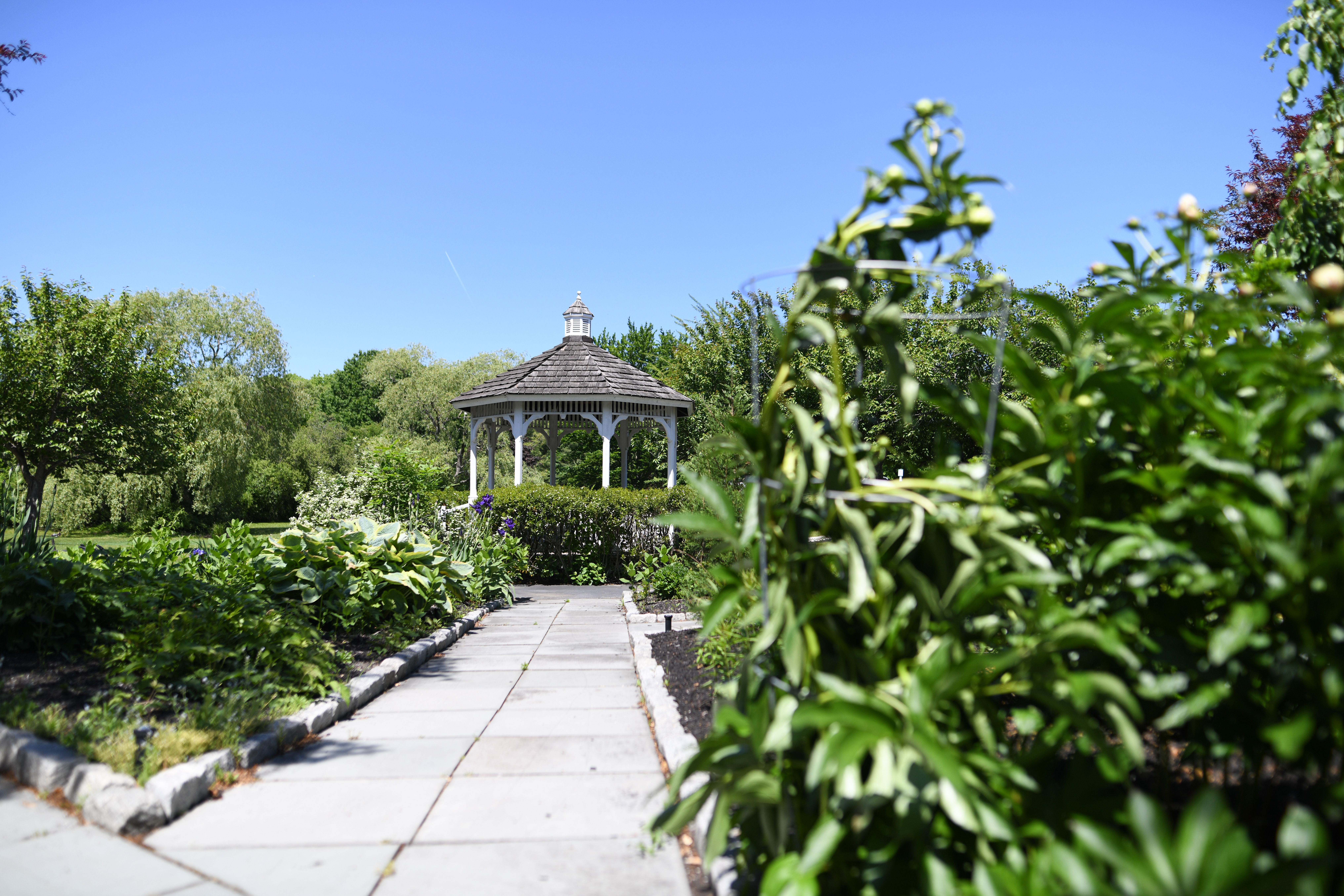 New Pond Village Gazebo and grounds 