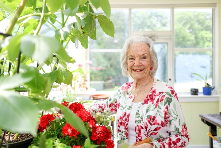 An older woman with white hair smiles while tending to bright red flowers in a sunlit indoor garden or greenhouse. She wears a white top and a floral cardigan, standing among lush green plants with large windows in the background.